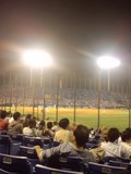 神宮球場