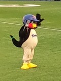 つば九朗