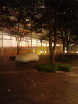 081025_2324~01.jpg