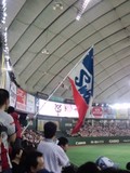 東京ヤクルトスワローズ応援団